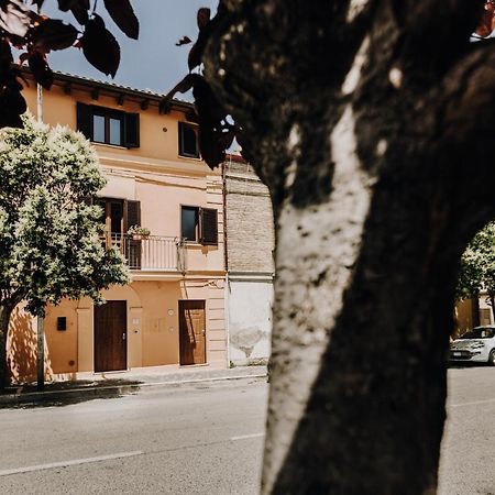 B&B La Cicala Vasto Zewnętrze zdjęcie